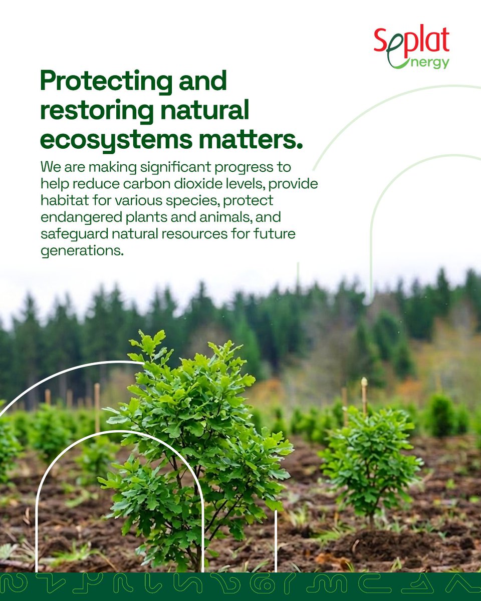 SeplatEnergy's tweet photo. Tree4Life is our leading reforestation initiative, focused on restoring ecosystems, and supporting land recovery across the communities where we operate. 

In 2025, we doubled our tree planting target, delivering 200,208 trees, bringing total progress to 231,028 trees. https://t.co/NdfJP2VQXp