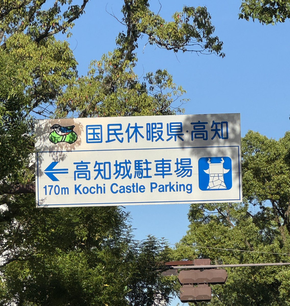 susaki_city_PR's tweet photo. ÒㅅÓ。)ﾉきょうは国民の休日！
でもじつは高知県はまいにち国民休暇県だよー☆

#国民の休日 https://t.co/qSLPNLx9b9
