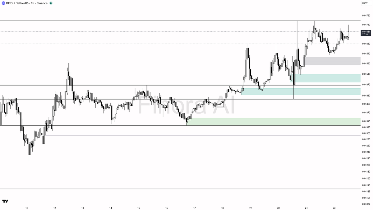 📈 4.6x volume on $MITO 3.2% move — bullish confirmation brewing 🧵👇 
 [📷](https://pbs.twimg.com/media/HSz6TYrWwAAEw5k.png) https://pbs.twimg.com/media/HSz6TY