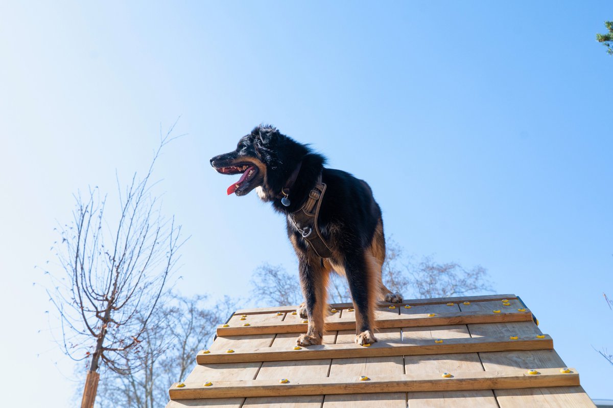 ClermontFd's tweet photo. 🐾 #ClermontFerrand figure au 5e rang du classement #DogFriendly de https://t.co/YXLrhwg7oB, parmi 50 villes étudiées.

40,9 % des locations de vacances analysées dans notre ville acceptent les chiens. Une reconnaissance de l’accueil réservé aux compagnons à quatre pattes. https://t.co/xscOL0y9Gy