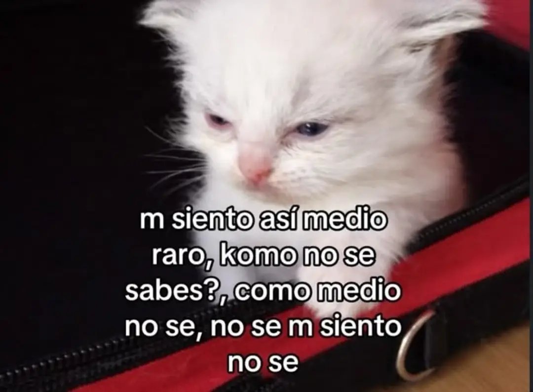 cyaaaaaaa___'s tweet photo. https://t.co/l4s26S0yYQ