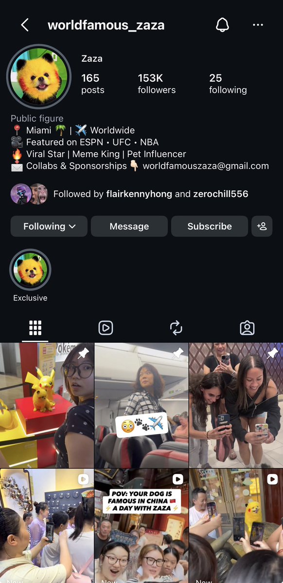 TRAPGODdpqs's tweet photo. Just onboarded the Pikachu looking dog named ZAZA on Instagram. 100% fees will be send to her and her husband.  

https://t.co/RC4TgFZA6K https://t.co/wHPR0EMFMG