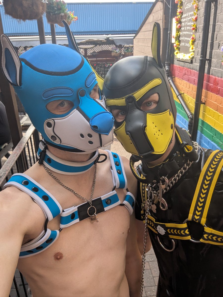 rubberdipstick's tweet photo. First time at @DogHouseStoke as an owned pup 🥺 very much enjoyed being dragged around by @splash_fusky. I hope I was a good boy https://t.co/xAMb8SPnqJ