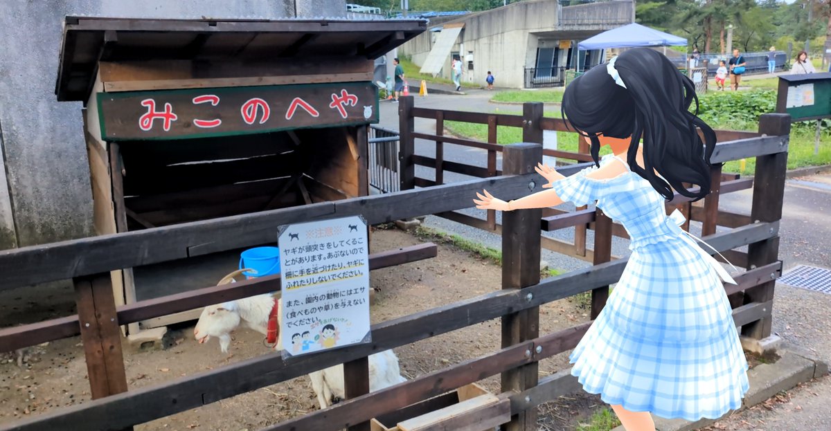 P36450802's tweet photo. ・みこさん(♀)とのコミュニケーションを図るも、そっけなく返される椿さん

「こっち向いてくださ〜い♪⋯って、あらら」
ちょっとみこさん⁉️😡若い子にあんまり冷たくしないの‼️😠😠 https://t.co/GsPTkri8oS