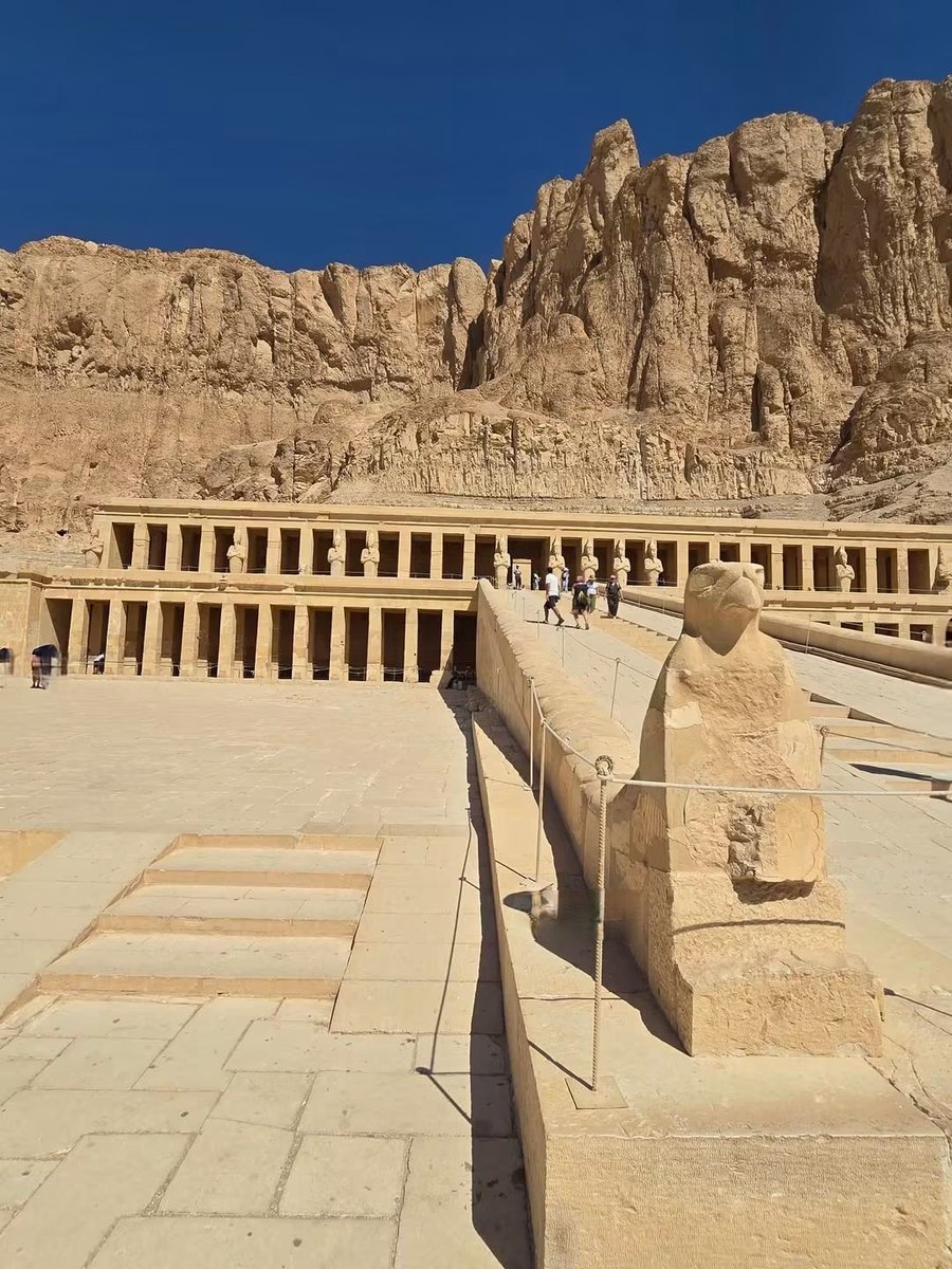 mshaban375's tweet photo. Good morning from Egypt 🇪🇬 
Hatshepsut ❤️ https://t.co/udXsESWJr3