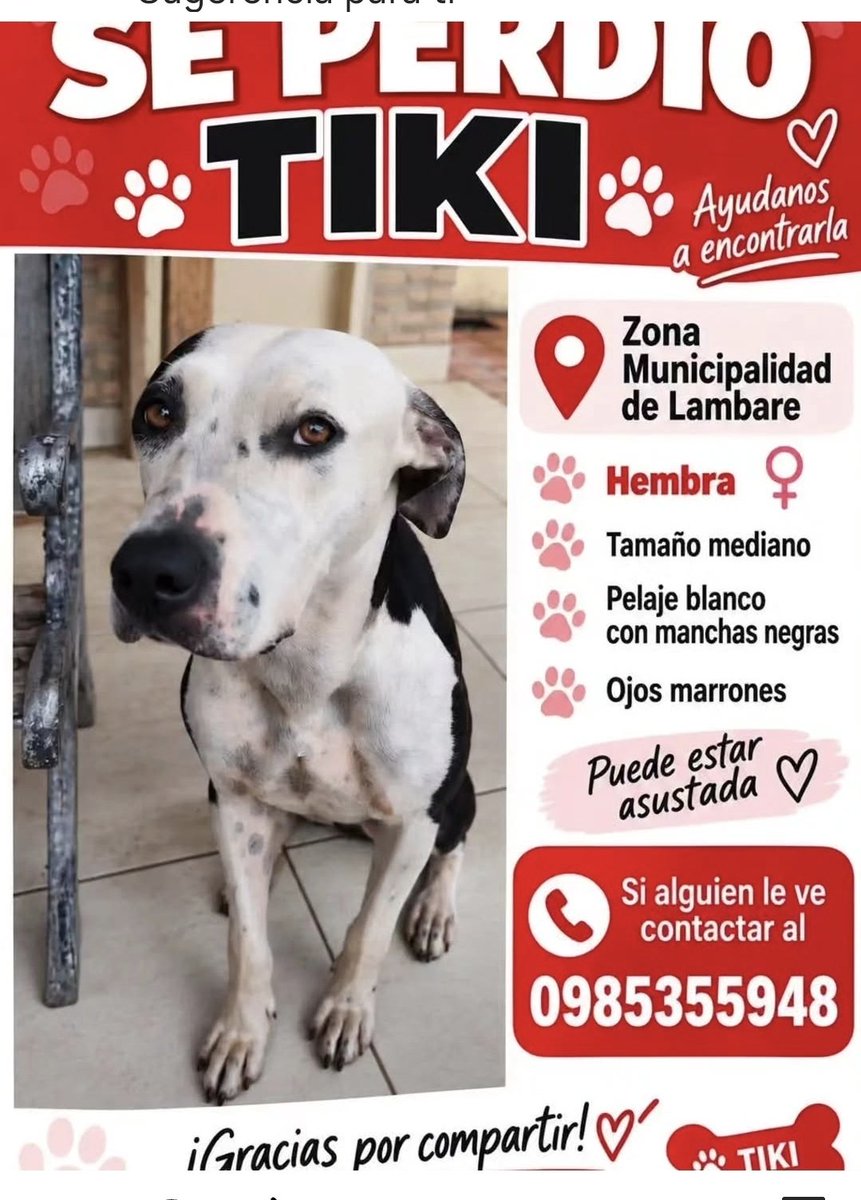 mariannojeda's tweet photo. Atención zona Municipalidad de Lambare,  si le viste por favor avisa a su Familia.  Se agradece compartir https://t.co/M5GWY8qkW1