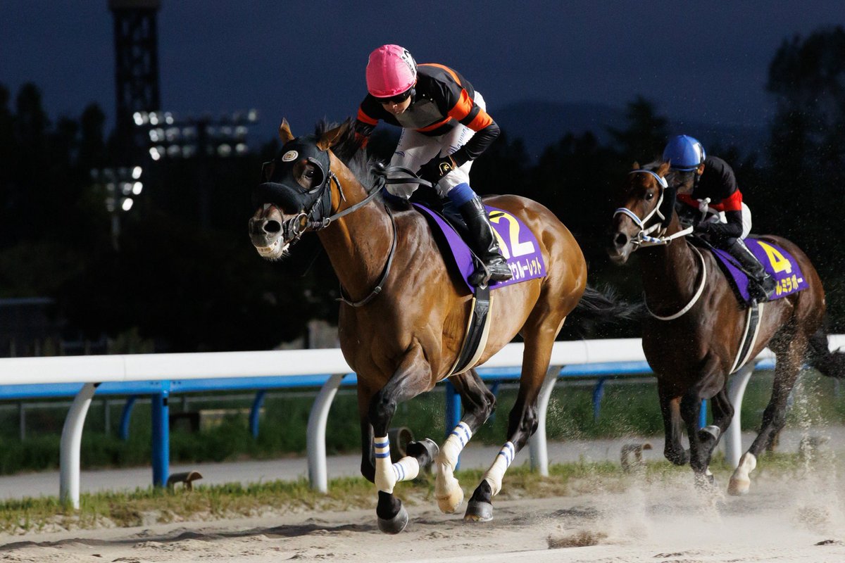 nar_keiba's tweet photo. 【#白山大賞典 写真速報】 本日、金沢競馬場で白山大賞典が行われ、岩田康誠騎手騎乗のホウオウルーレットが優勝しました。現地からの写真をお届けします。競走成績はこちら↓
https://t.co/k8Xs9JZSNn https://t.co/dqg1gGQvjL