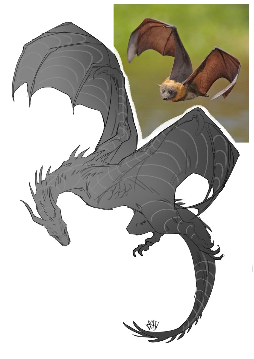 COOOFUck's tweet photo. Some practice!! #dragon #arttutorial https://t.co/H2fI3q8On1