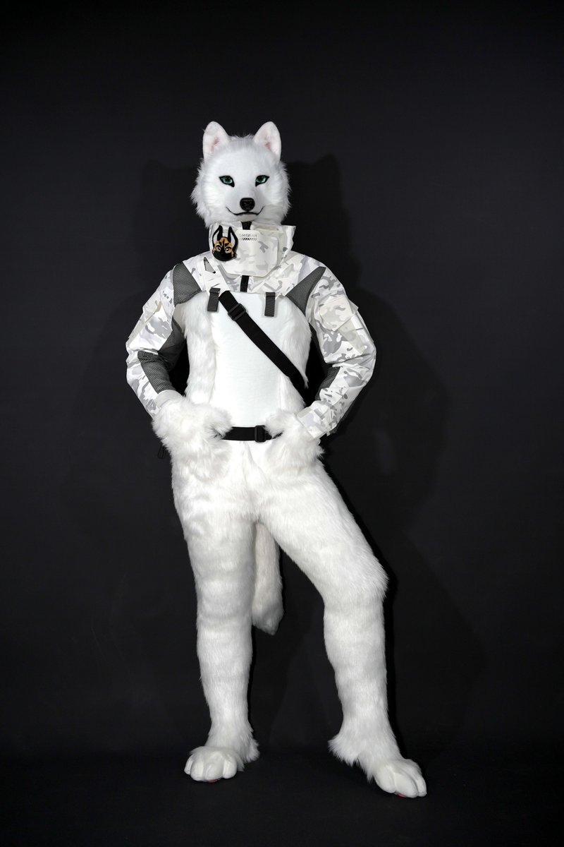 MofuMofuFursuit's tweet photo. Perfectly fit! Ultra mobility! 
Changing outfit? No problem! 

Tight-fitted bodysuit! Slots still available 🤍

🐺head made by @FurticStudio 🤍
Bodysuit made by us🤍🤍 https://t.co/YhKtf6tI8r