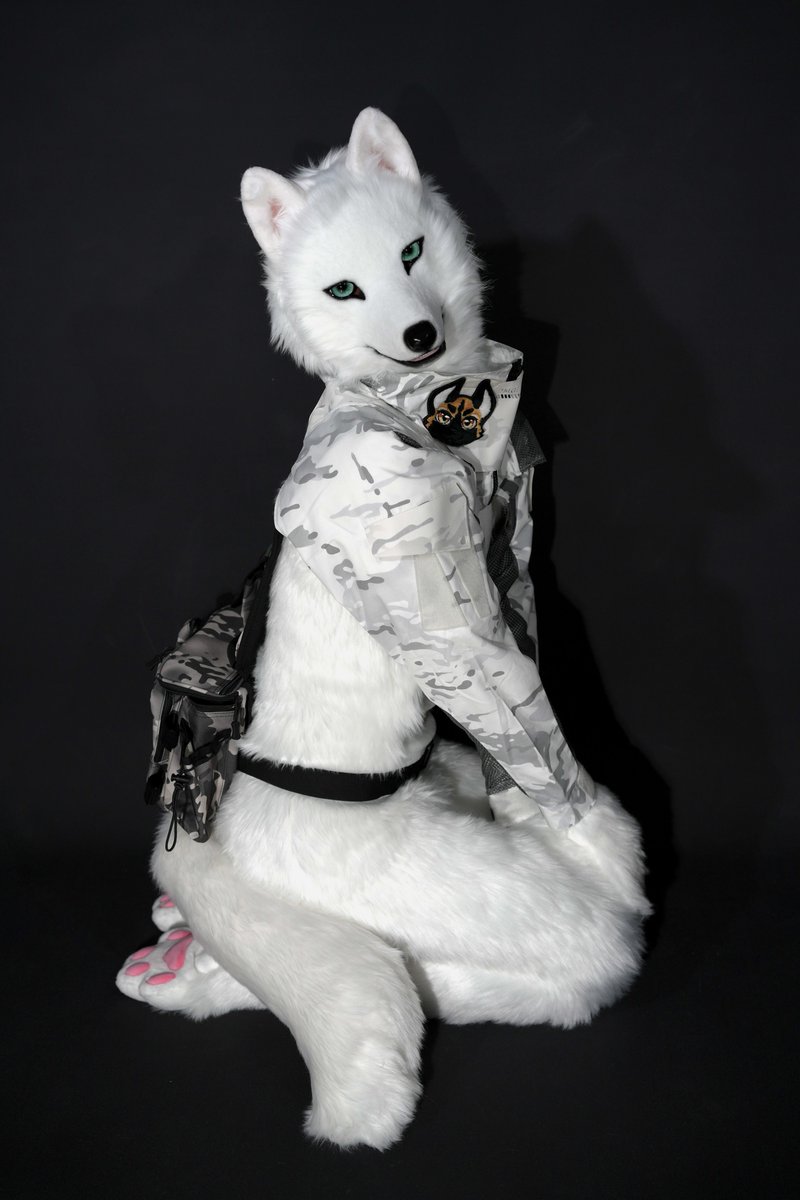 MofuMofuFursuit's tweet photo. Perfectly fit! Ultra mobility! 
Changing outfit? No problem! 

Tight-fitted bodysuit! Slots still available 🤍

🐺head made by @FurticStudio 🤍
Bodysuit made by us🤍🤍 https://t.co/YhKtf6tI8r