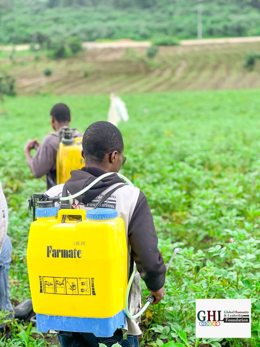 ghlfdrc's tweet photo. The GHL-F (Global Humanity and Leadership Foundation) team conducted a field visit to Kibumba to visit and assess the potato field established as part of the activities of the Food Security Department. https://t.co/Nh9UU9dYzO