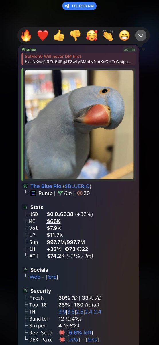 SolMoh0x's tweet photo. $BLUERIO

Ca:

hxUNKwqN9Zi154EgJTZwLyBMhtN1udXaCHZrWpipump

#SMNO #CRYPTOAI #CRYPTOCLARITYACT #MEMECOIN https://t.co/rk8HOuiCvZ