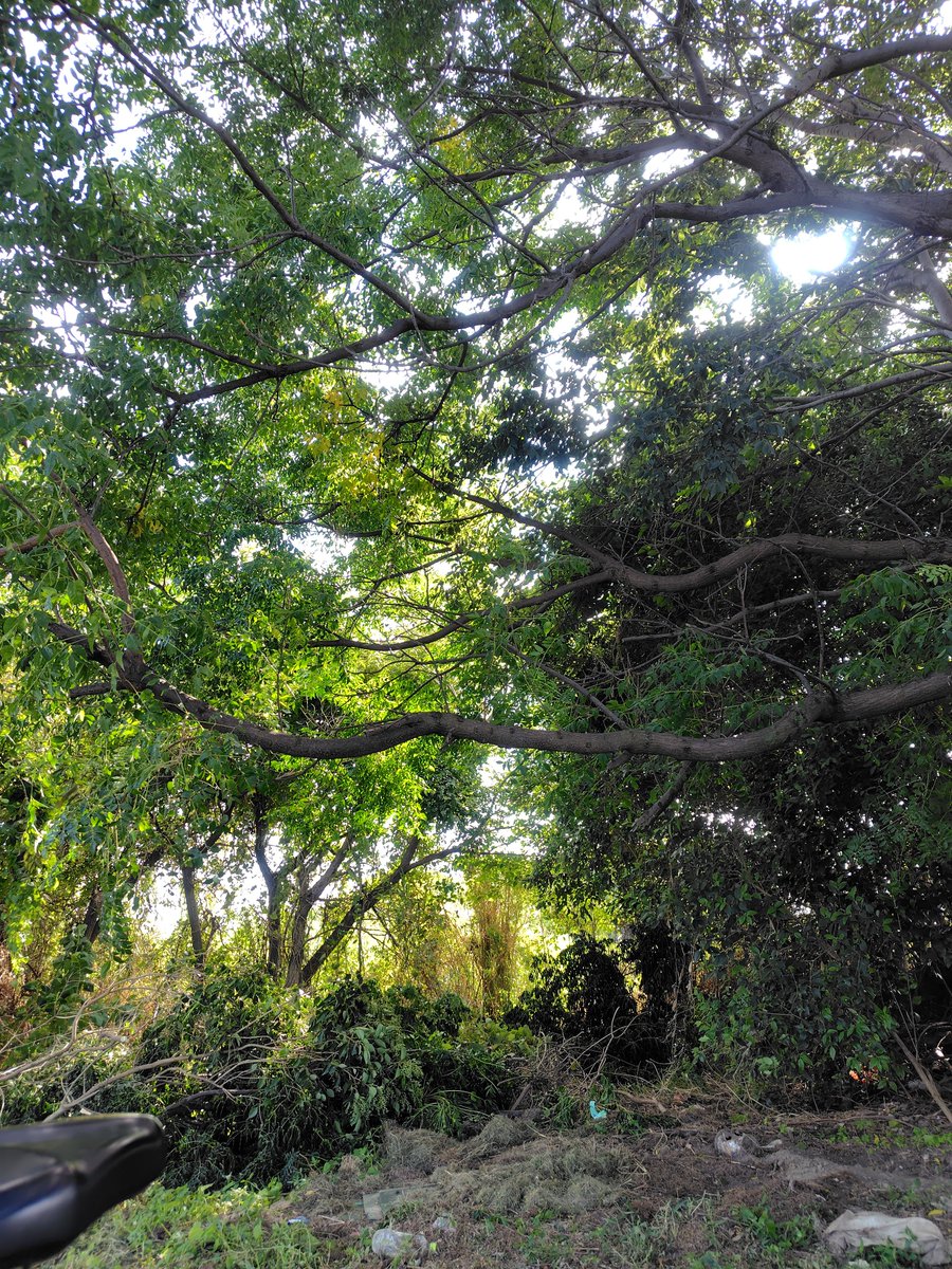 yu_skow32's tweet photo. 自分に一番必要な時間🌳 https://t.co/2fS0RG2m23