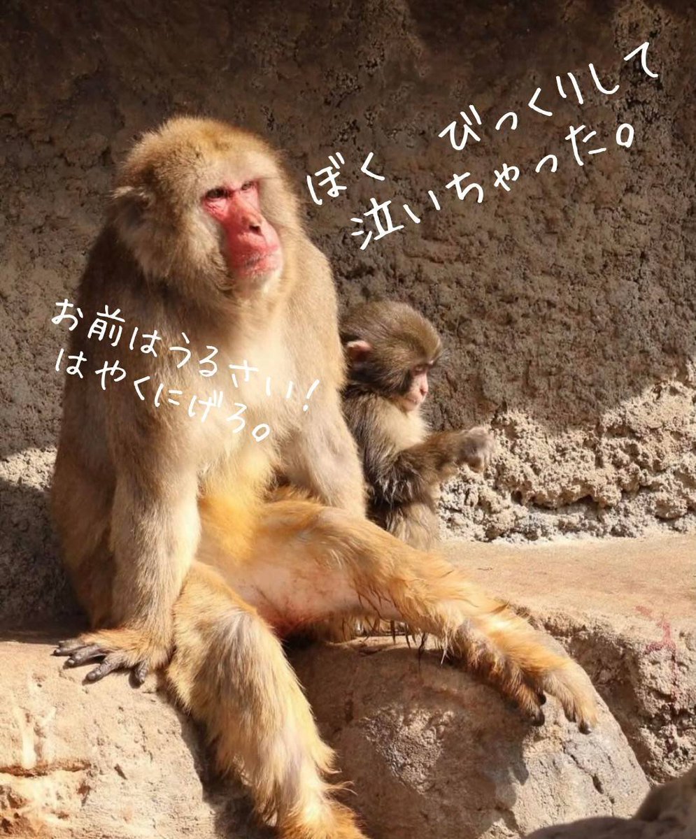 qWv0cZ46i190157's tweet photo. 晴れた☀昼下がり https://t.co/yhZerB3VlH