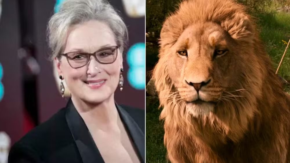 ZAMENZA's tweet photo. "Escalação de Meryl Streep em novo filme de 'Nárnia' desperta a fúria em grupos cristãos"

Aslan é considerado por muitos uma alegoria de Jesus Cristo nos livros escritos por C.S. Lewis. Nos três filmes anteriores da franquia, o leão foi dublado por Liam Neeson, e a troca de gênero da voz do personagem foi duramente criticada nas redes sociais, principalmente entre o público cristão.

"Aslan é baseado na história de Jesus. Jesus é homem, e Aslan é obviamente um leão macho. O que é isso?", vociferou um internauta. "Querida Meryl Streep. Assisto aos seus filmes e admiro seu talento há 40 anos. Por favor, não faça isso. Estão usando você e sua boa reputação para blasfemar contra os cristãos", protestou uma segunda pessoa. "É por isso que você quer ser lembrada? Pare agora. Assinado: um fã de longa data", postou um terceiro fã da atriz.

Outros usuários das redes apontaram uma suposta "agenda woke" no filme previsto para chegar aos cinemas em 12 de fevereiro de 2027."Mais uma bobagem 'woke' que vou ignorar. Hollywood odeia dinheiro. Quem adota a agenda 'woke' acaba quebrando. E é extremamente estúpido", escreveu uma pessoa. "Não faz nem sentido um LEÃO MACHO ter a voz da Meryl Streep! É ridículo!", compartilhou outro fã.

"É muito triste o que Greta está fazendo com o clássico de C.S. Lewis. A obra tem um subtexto cristão e, por algum motivo, isso não é aceitável. A intolerância em Hollywood é decepcionante e assustadora", acusou um terceiro.

"Caso haja QUALQUER confusão: C.S. Lewis pretendia literalmente que Aslan fosse a encarnação de Cristo no mundo de Nárnia. Aslan é mais do que uma alegoria de Cristo; ele É a forma como as criaturas de Nárnia vivenciam Cristo em seu mundo, assim como nós vivenciamos Jesus Cristo como um HOMEM encarnado no nosso", explicou uma leitora.

(Redação Monet, G1)