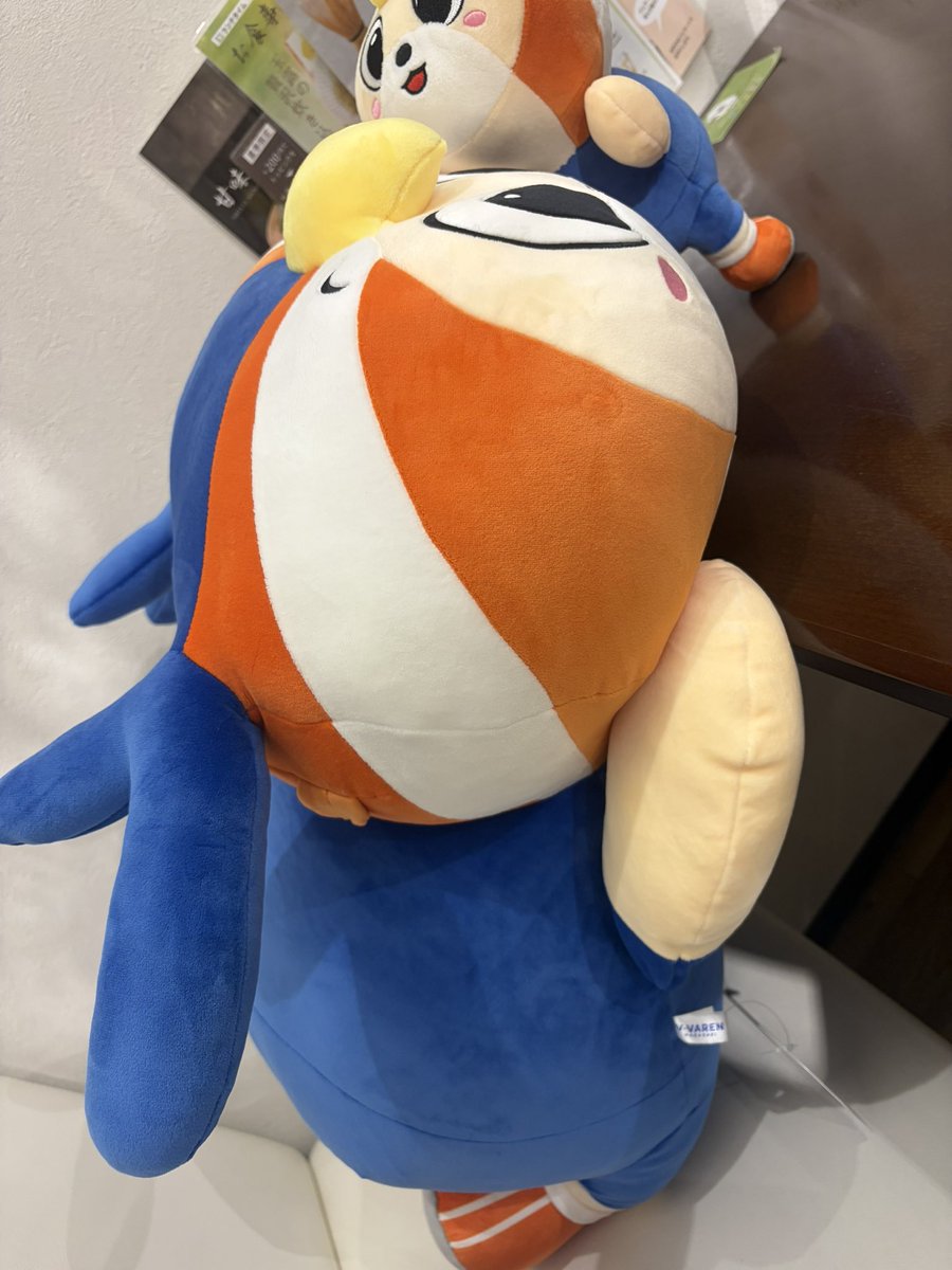 yeartea's tweet photo. 夕方、この子追加になりました https://t.co/pklcjkfY4O