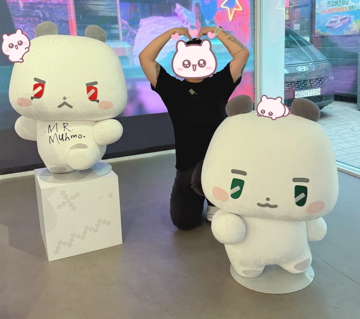 gumariii's tweet photo. 🥺 MY BABIES hey google how do I pack them into my check in luggage to take them home 😭 https://t.co/Uf8QAGSkmt