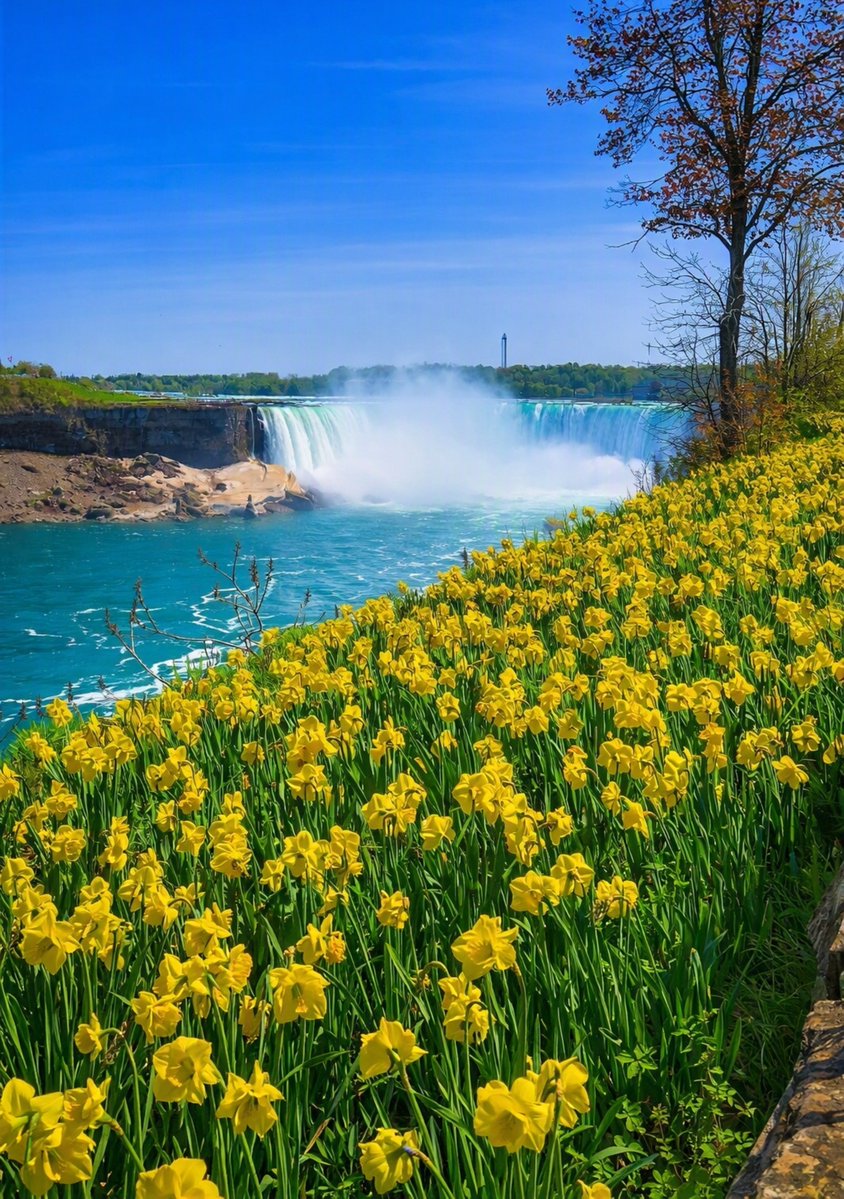 softlethal's tweet photo. Niagara Falls Through the Four Seasons Which One Is Your Favorite?🤔 https://t.co/Dz911vYaZ8