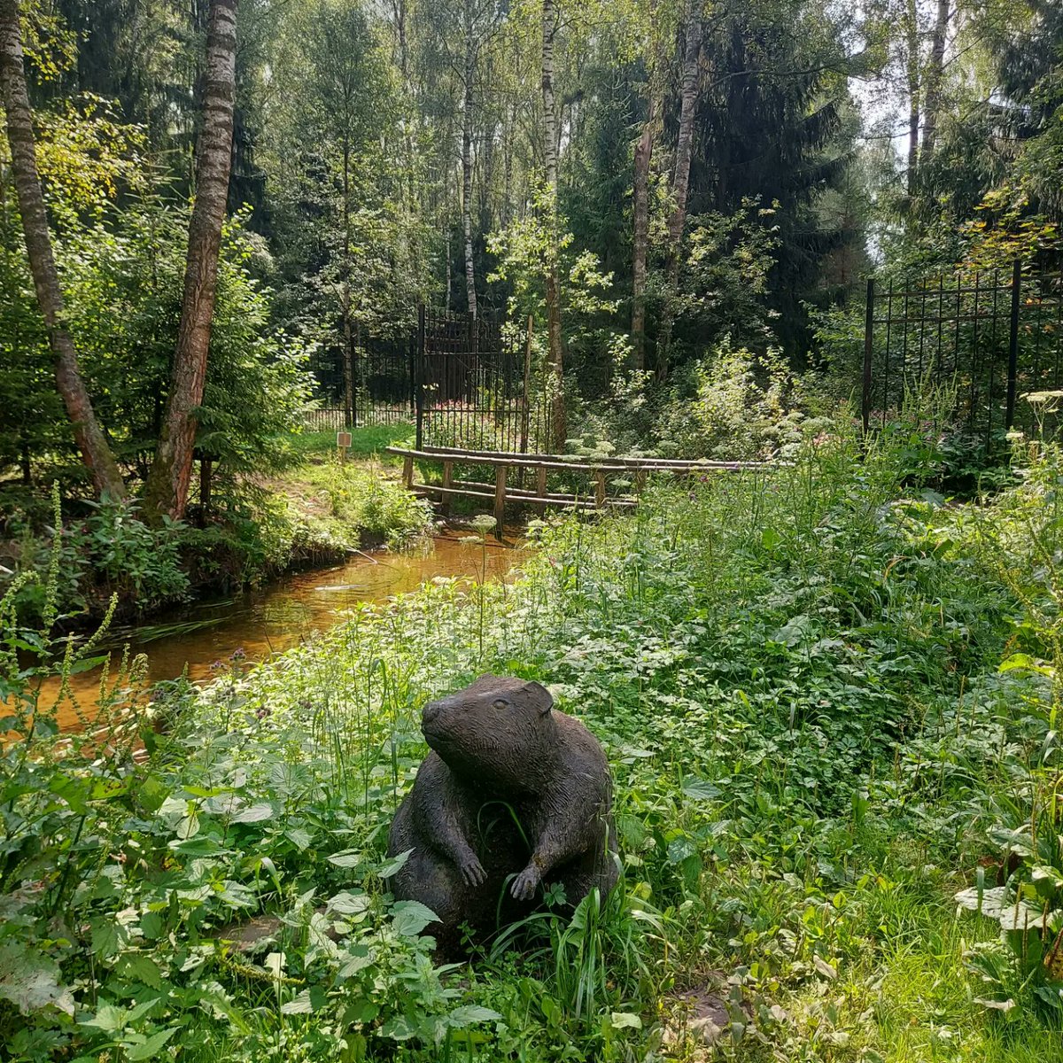 EvieCompans4k's tweet photo. Photo by Наталия on August 08, 2023. https://t.co/f6Kd9MekEg