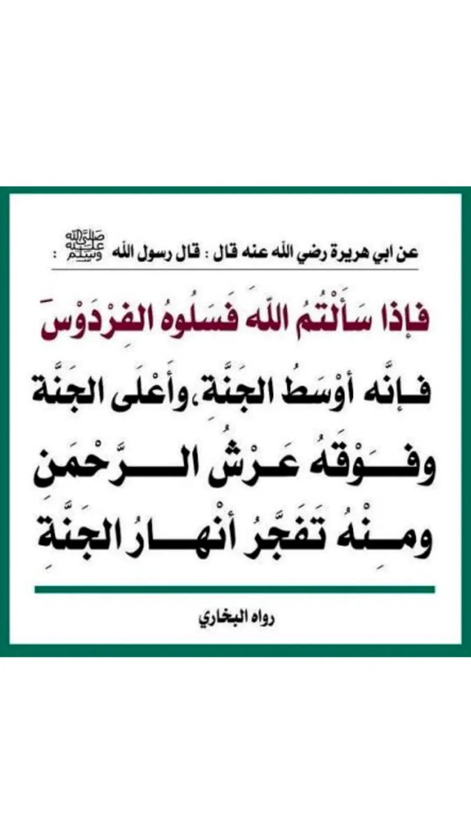 abedbasheer97's tweet photo. https://t.co/OwETLLeT92