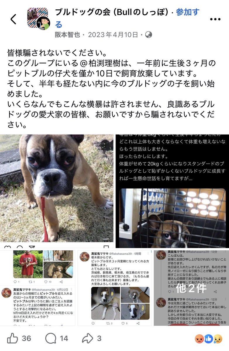 pjwgado's tweet photo. しかし有名人だね。
柏渕理樹はw https://t.co/LrYLh3H5bL