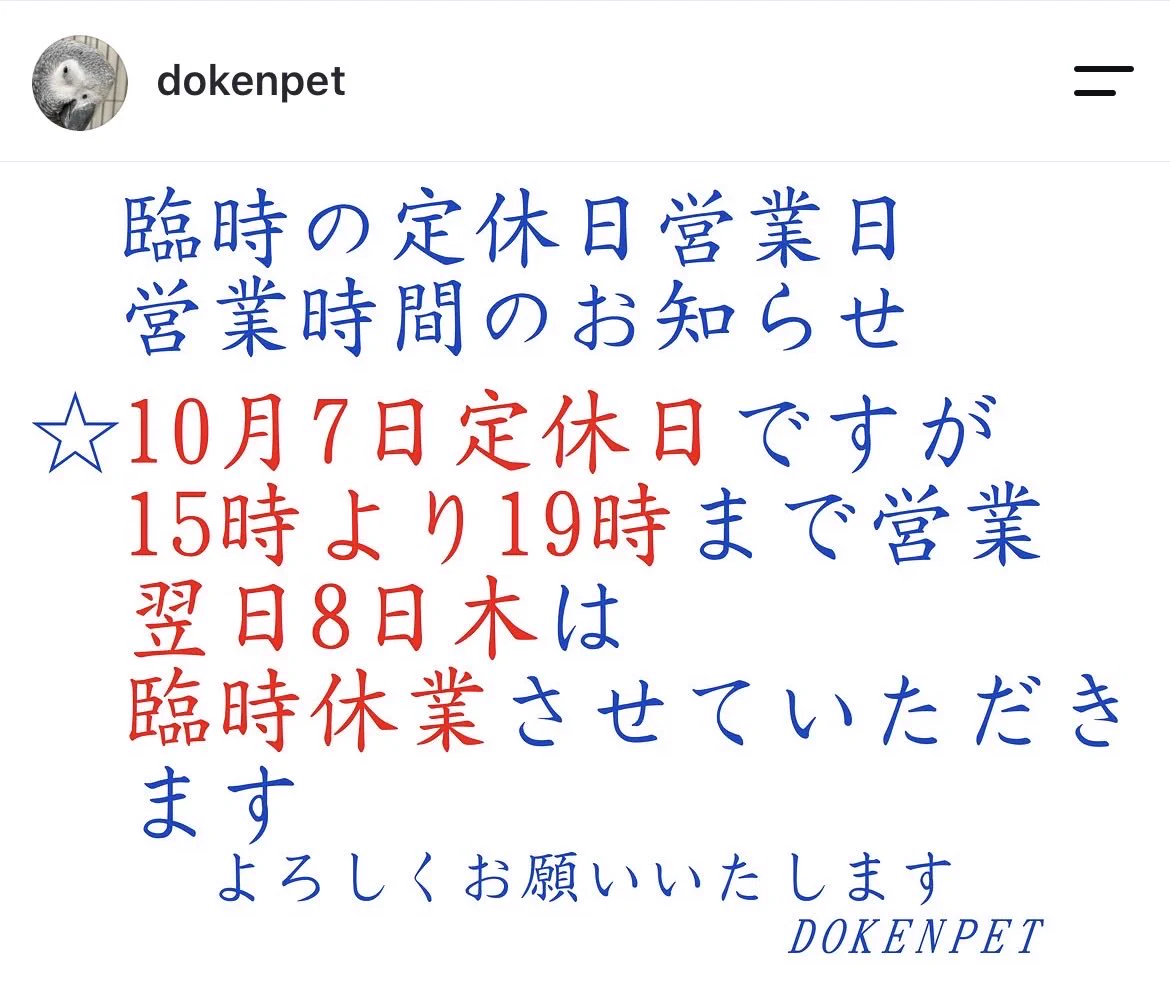 DokenPet on X: 