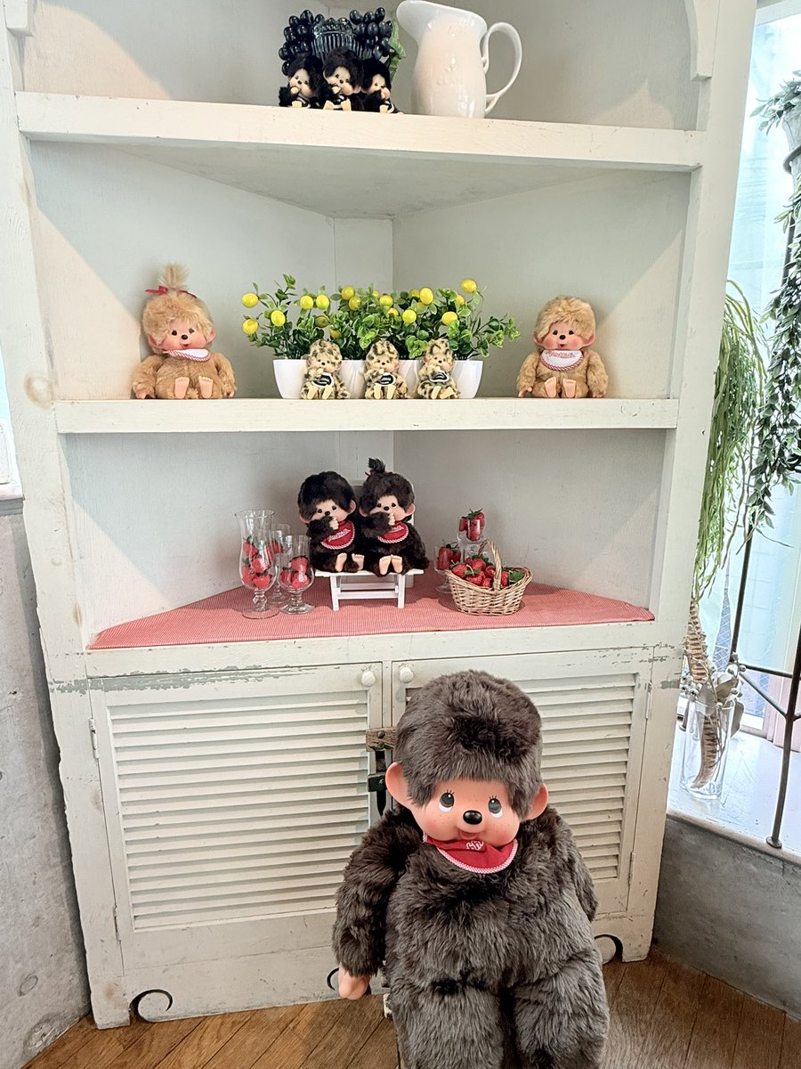 Sy_Ts27149's tweet photo. 第1弾🐵 https://t.co/tcXdbvCTd1