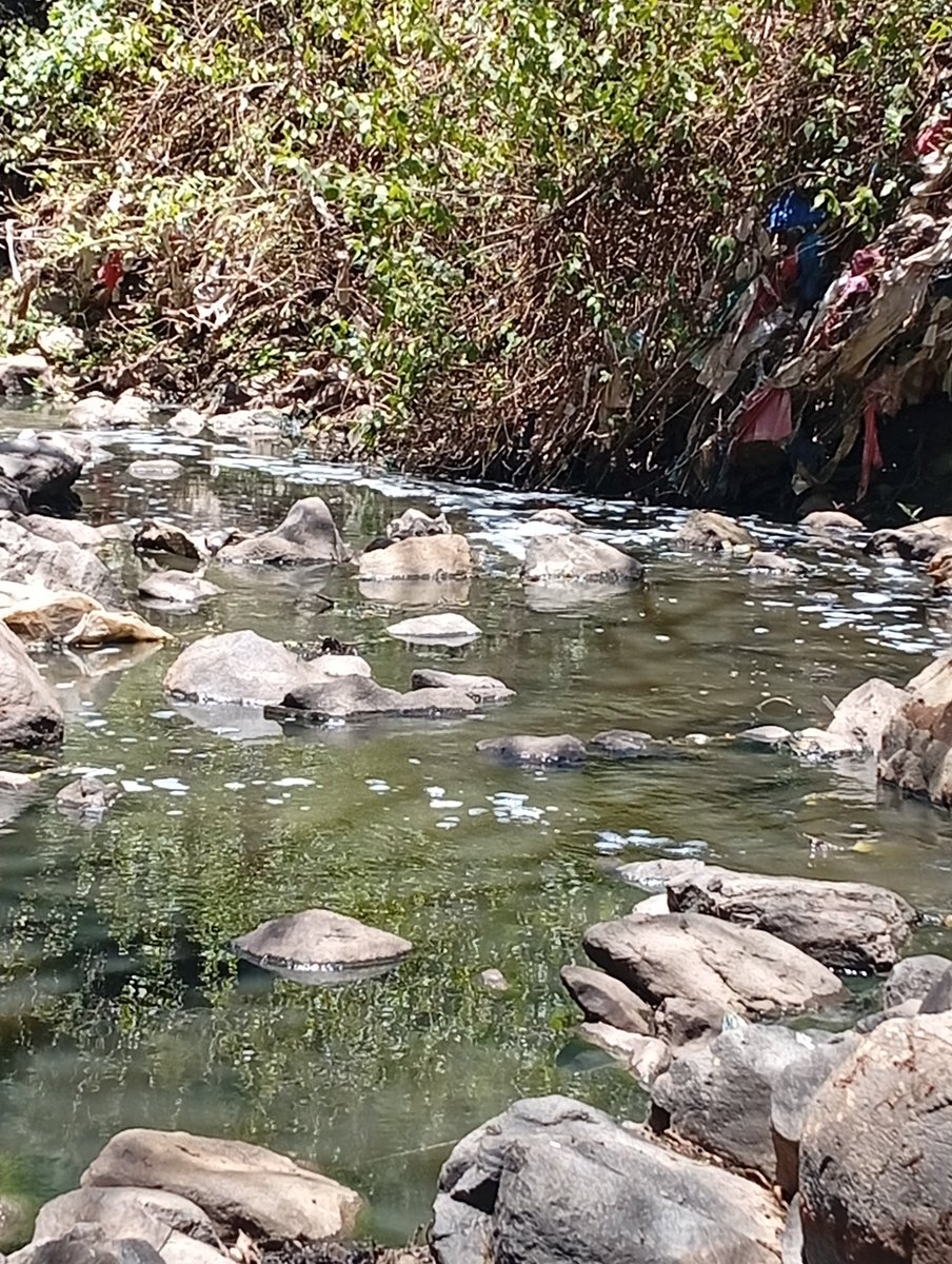 JumaMichaels's tweet photo. Restoration of our water bodies, environment and mother nature is equivalent to restoration of humanity. The Kenya Inter-University Environmental Students Association, KIUESA did a two day clean up activity on River Kandisi in Oloolua forest. 1/n 🧵 https://t.co/9PrmLJNDyr