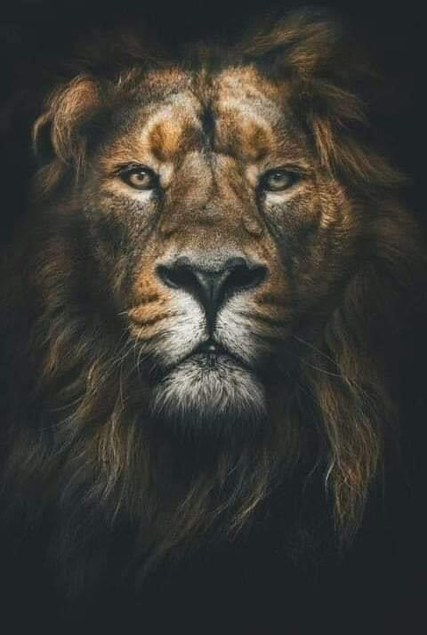 AdelAliBinAli's tweet photo. لَنِ أحًآوٌلَ أنِ أثًبًتٌ شُيَئآً لَأحًدٍ .. مًنِ يَحًبً أنِ يَظُنِ بًيَ خِيَرآً لَيَفُعٌلَ وٌ مًنِ يَحًبً أنِ يَظُنِ بًيَ شُرآً لَيَفُعٌلَ
أنِآ أعٌلَمً بًنِيَتٌيَ وٌآلَلَهّ أعٌلَمً بًيَ وٌبًکْمً ...❤ https://t.co/66Ybz2Qb2t