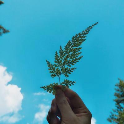 PaulDirk7's tweet photo. You are the calm creator within your own evolving story.   🚩 💐 https://t.co/9Ph0nrqi4M