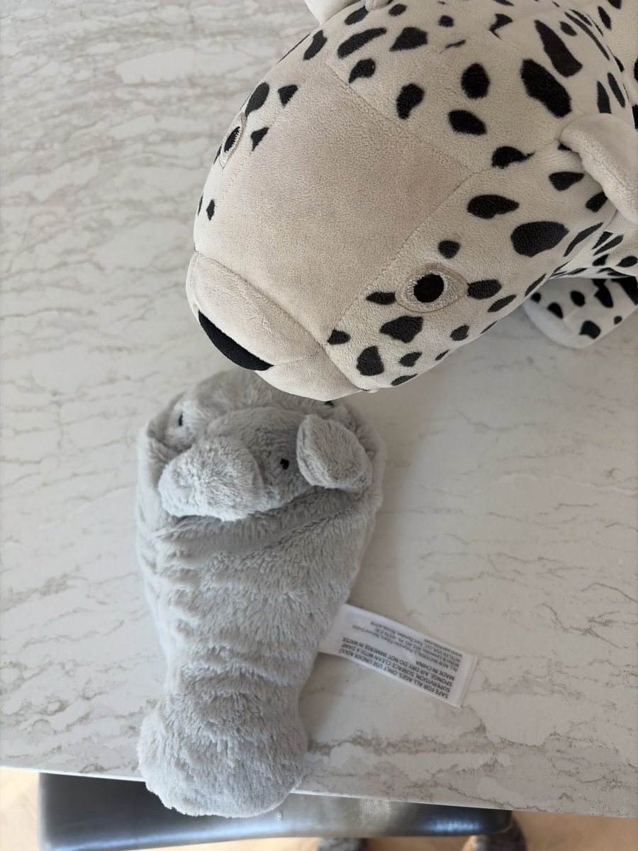 Seals_R_Cute's tweet photo. Seal worm woke up with bug mites in his nose today. You know it’s serious because even leopard seal cares. https://t.co/AGKkakpu22