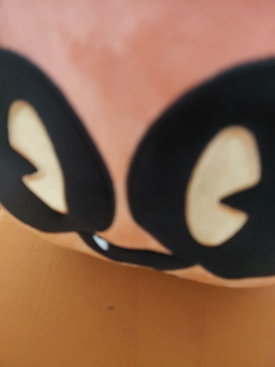 Gabeyyy09's tweet photo. GEO PLUSH ACUIRED https://t.co/QOTb6Diw4b