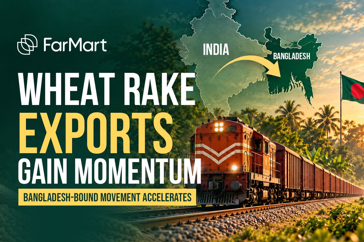 farMart_'s tweet photo. India–Bangladesh wheat trade is gaining momentum.

10 rakes moved in August, rising to 18 in the first 15 days of September, carrying ~47,628 MT.

Darshana led with 12 rakes, while Bihar contributed 8.

Rail: ~$321/MT vs ~$335/MT by sea.

Read: https://t.co/USKUGYZoIV https://t.co/xZ0VFLqSSe