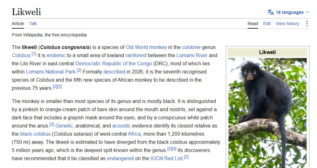 Arctic06x's tweet photo. A NEW APE SPECIES WAS DISCOVERED IN JULY OF THIS YEAR

we just ran the penguin but this is literally an APE

its called COLOBUS CONGOENSIS

check the lore for yourself

https://t.co/fTERgHOStM https://t.co/ZJeoTHYxk3