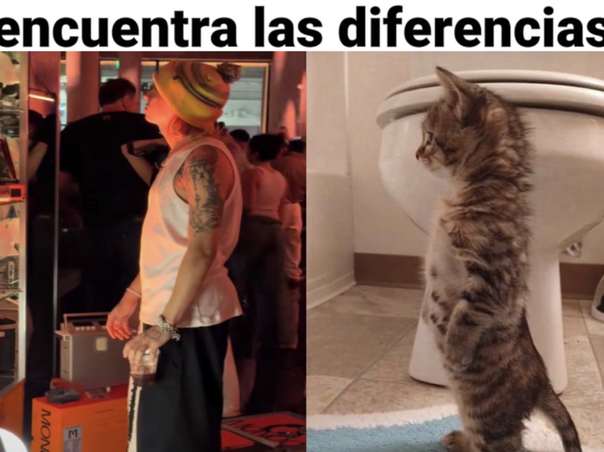 niamorniplata's tweet photo. (nivel hacker) https://t.co/YZucqmfMtS