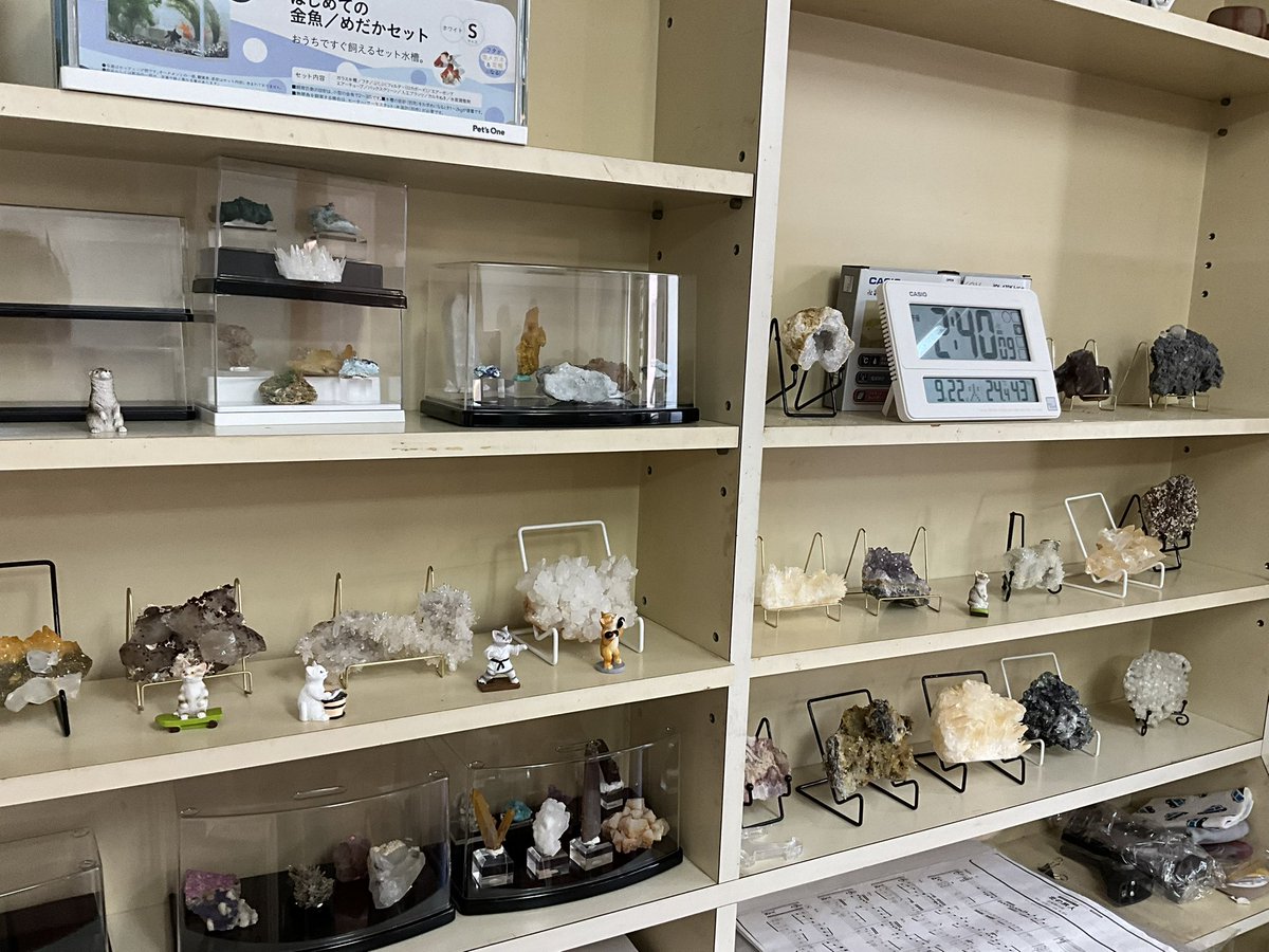 orientaloreee's tweet photo. 古い家具の黄ばみってどうやって落とせば良いんじゃろ
これは標本置き場になってる元薬の陳列棚
標本は父の https://t.co/Cgt72fis6U