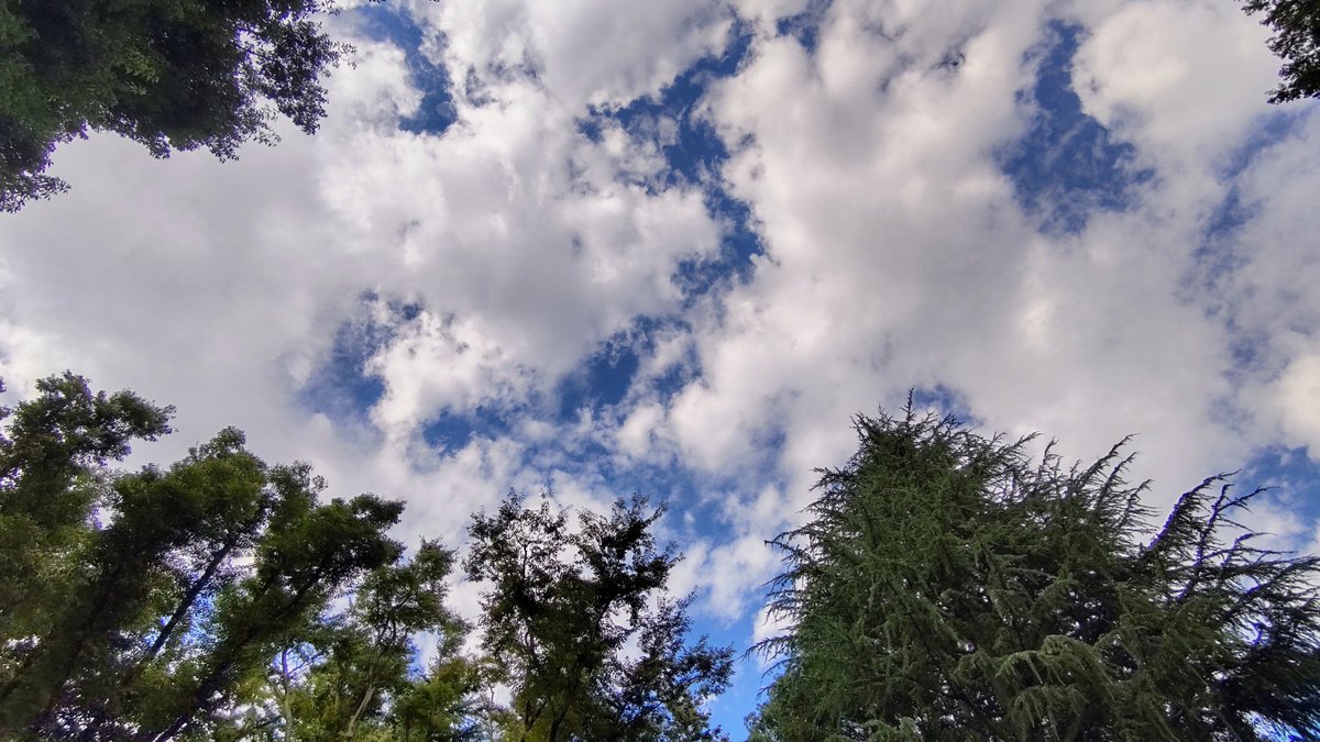 SASATTI0802's tweet photo. #井の頭公園
#イマソラ https://t.co/Z2HcwZcm1V