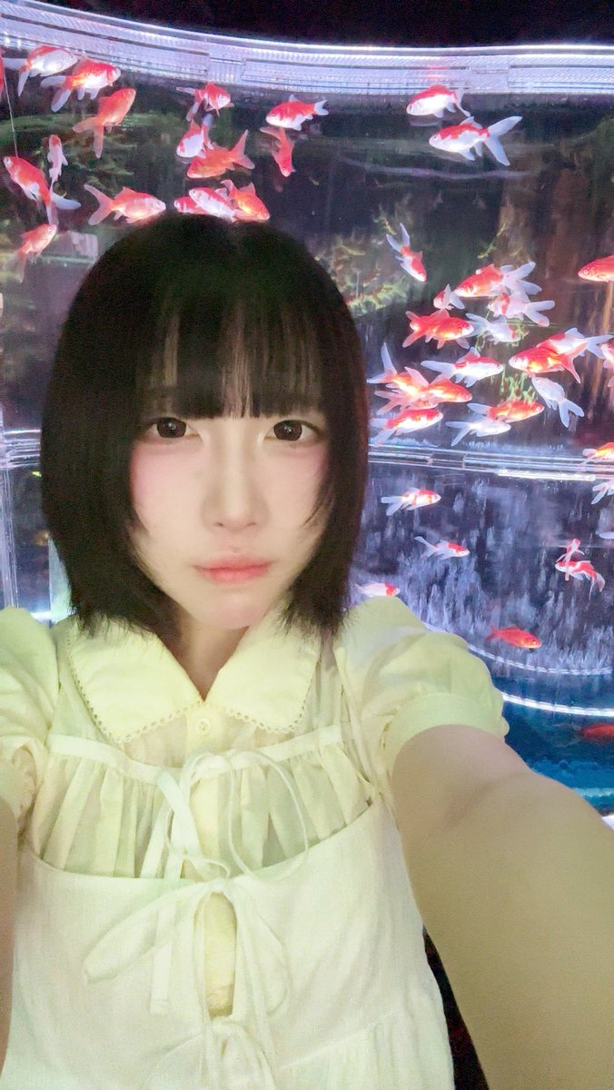 krcl_kinako's tweet photo. 金魚祭り #自撮り界隈 #いいね返し https://t.co/1wa93VShxJ