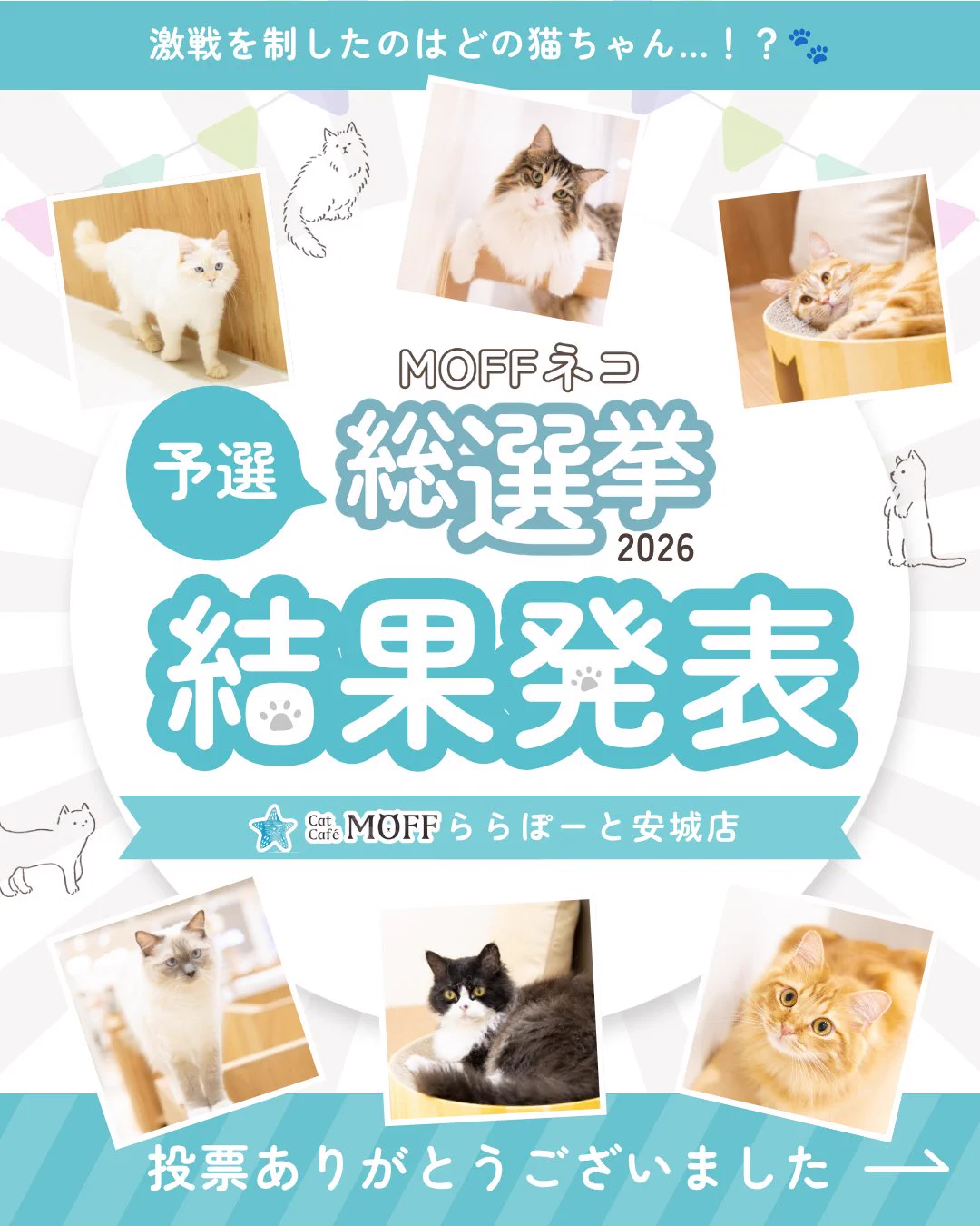 Cat Café MOFF ららぽーと安城店 on X: 