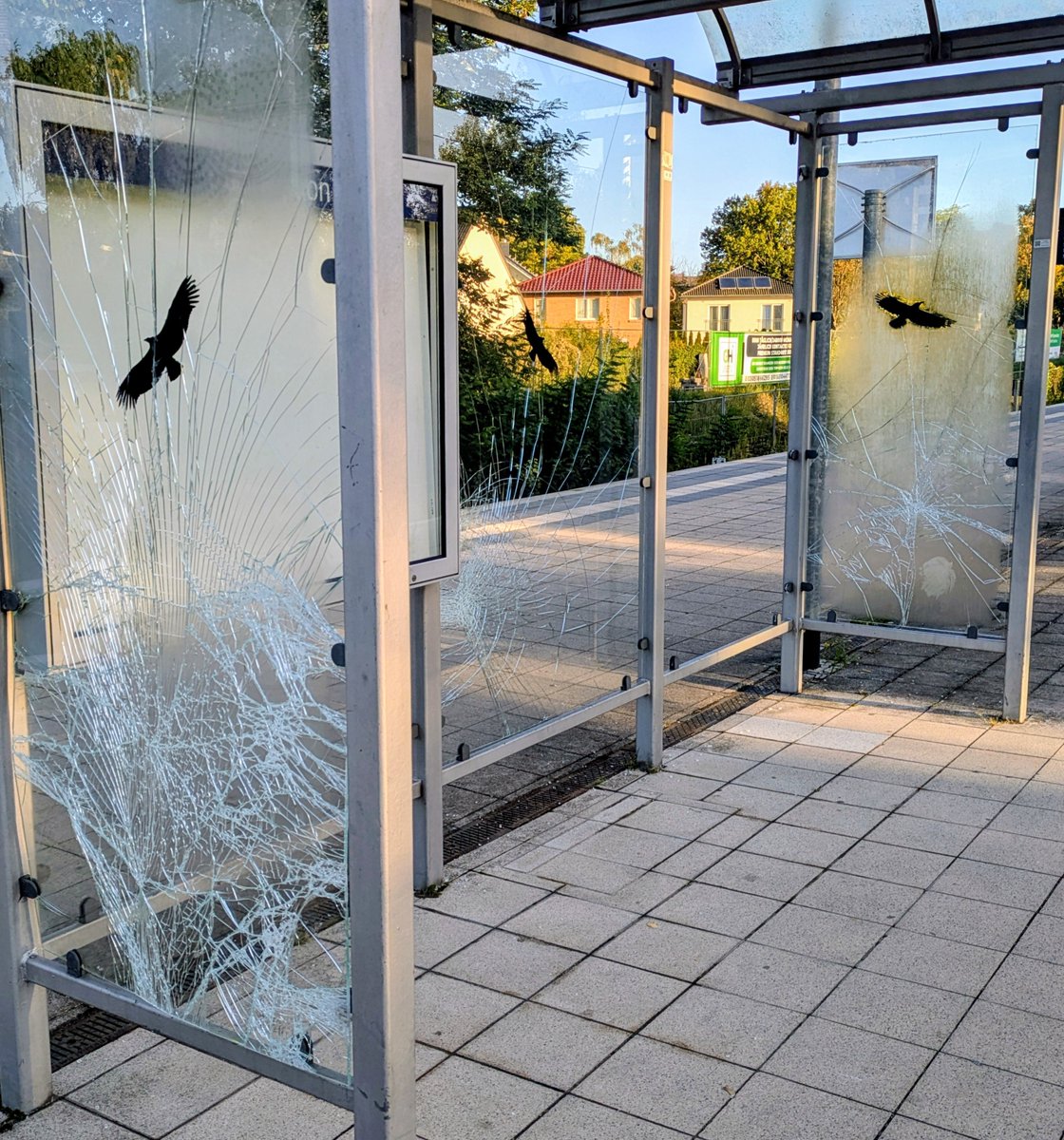 HSchaeferIW's tweet photo. Ich verstehe diese Art von Vandalismus einfach nicht. Wir alle benutzen die S-Bahn und sind froh, wenn wir uns bei Regen unterstellen können. Warum zerkloppt man das Wartehäuschen? https://t.co/OmWTnmilyG