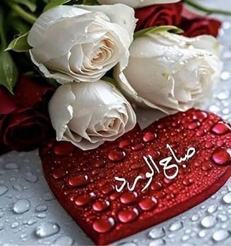 4qtou5's tweet photo. رتب صباحًا يليق بك🩷
عش الأوقات
 و اللحظات اللطيفة ،               
انزع من روحك كل حزن يشوبها
و استمتع بتفاصيل الصباح 
هذا يومٌ جديد .. فاعتنِ به 
صباحٌكم قهوة أنتم سكرها 🩷☕️ https://t.co/5ZAYREmoun