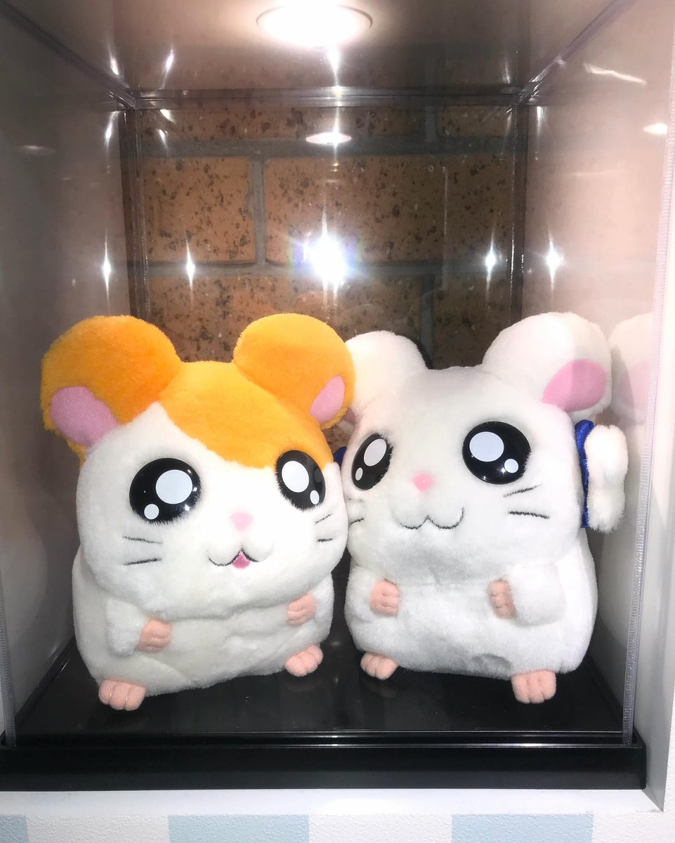 4orrei's tweet photo. 260922 레이 인스타그램

ちょっぴりお散歩☂️࿆⦁ﾟ♪♪ https://t.co/rqRNH8QZAf