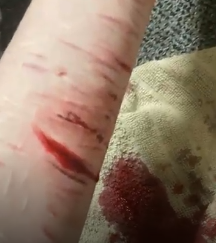 nightcorecafe's tweet photo. omg it wouldnt let me upload the videos again so i migth have to download twitter on my phone uh oohhhh..... but the first 2 are from sunday morning and 3rd picture is tuesday morning! https://t.co/XWvS2zousc