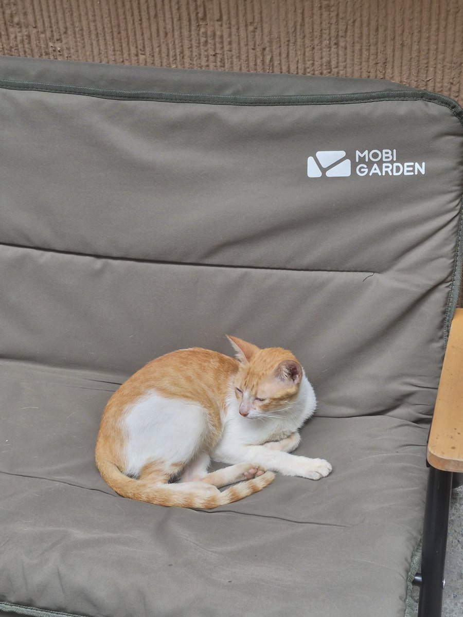 makapagmulala's tweet photo. #unistudent layp. Pagod na pagod na ako https://t.co/DK2QGbpvoE