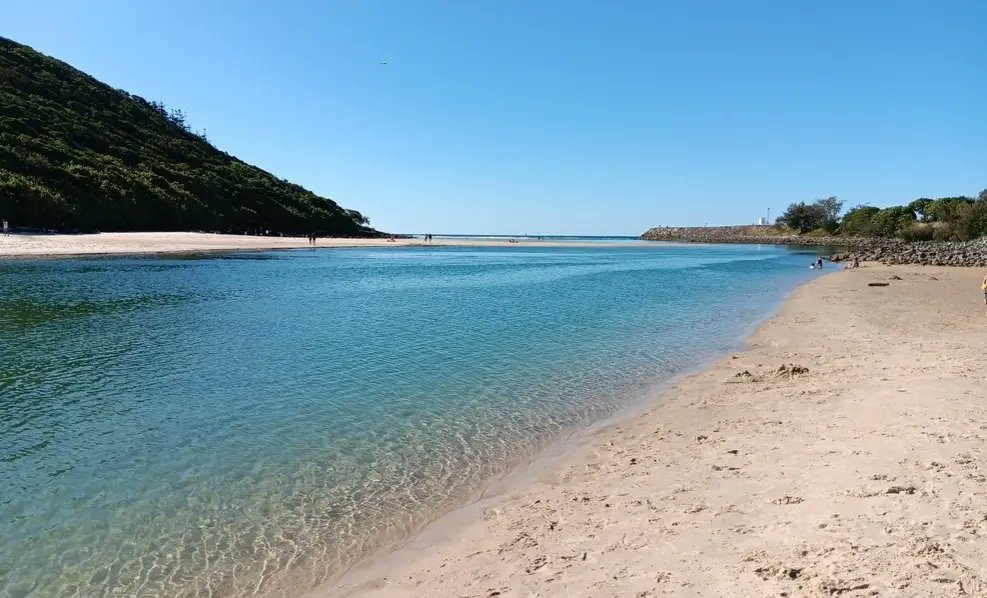 beach_scenes's tweet photo. Crystal-clear water, calm swimming spots & natural beauty are what make Tallebudgera Creek a Gold Coast favourite.
Don’t miss this stunning spot. Read my full guide.
#TallebudgeraCreek #GoldCoast #BeachScenes #TravelAustralia #HiddenParadise
https://t.co/k7Q6ZpybfT https://t.co/Tu6rKyuwyR