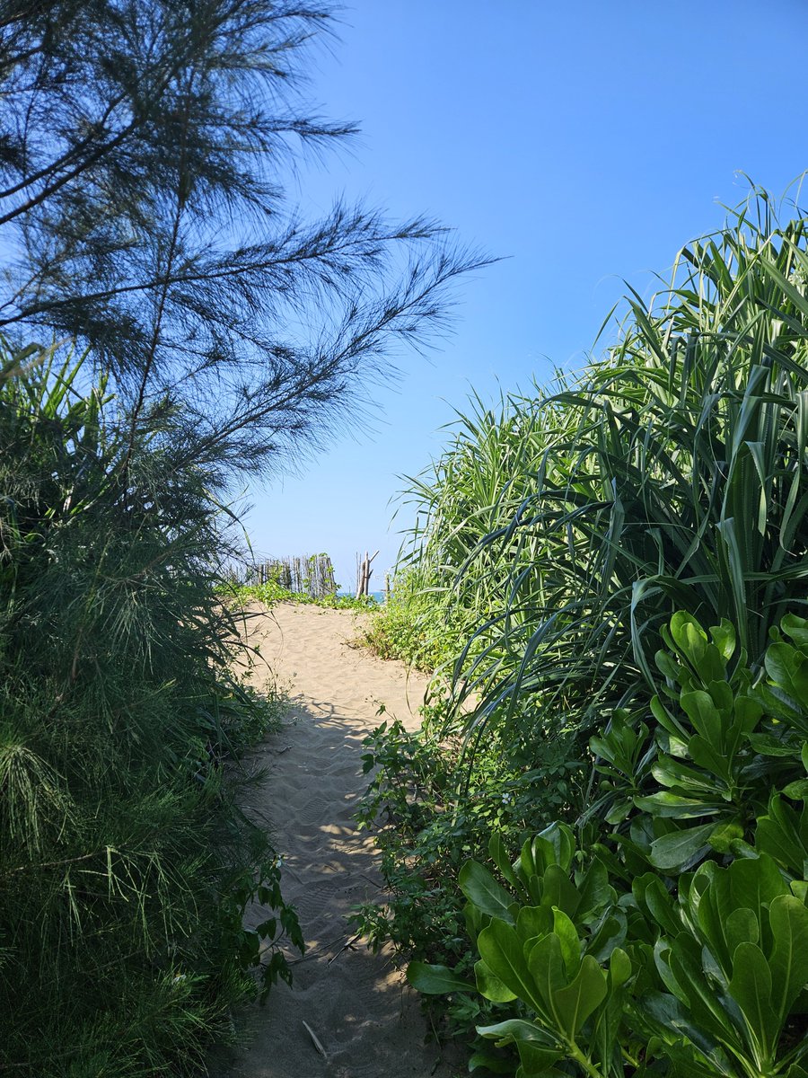 MensHunter_X's tweet photo. #gay沙崙海灘 台北同志海灘
今天週二 下午2：30 
大太陽人多 

Gay指數：5
老胖指數：5
阿公指數：6（滿分5）
年輕：1（人） XD

更多台灣地點追蹤加會員

#GayShalunBeach Taipei Gay Beach

Gay Index: 5
Older/Fat Index: 5
Older Man Index: 6 (out of 5)
Younger: 1 person XD

Taiwan locations https://t.co/3ln4BYIYEG