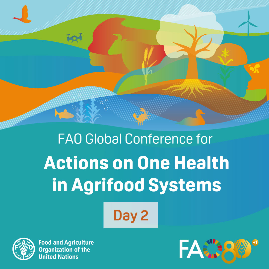 FAOLivestock's tweet photo. 🌱🐄🌍👥 Healthy plants, animals, people and ecosystems are all part of the same picture. 

Day 2 of #OneHealthInAction explores how stronger collaboration, science and knowledge can help address interconnected health challenges across agrifood systems. 

https://t.co/x19dNDacXF https://t.co/0wmuna8248