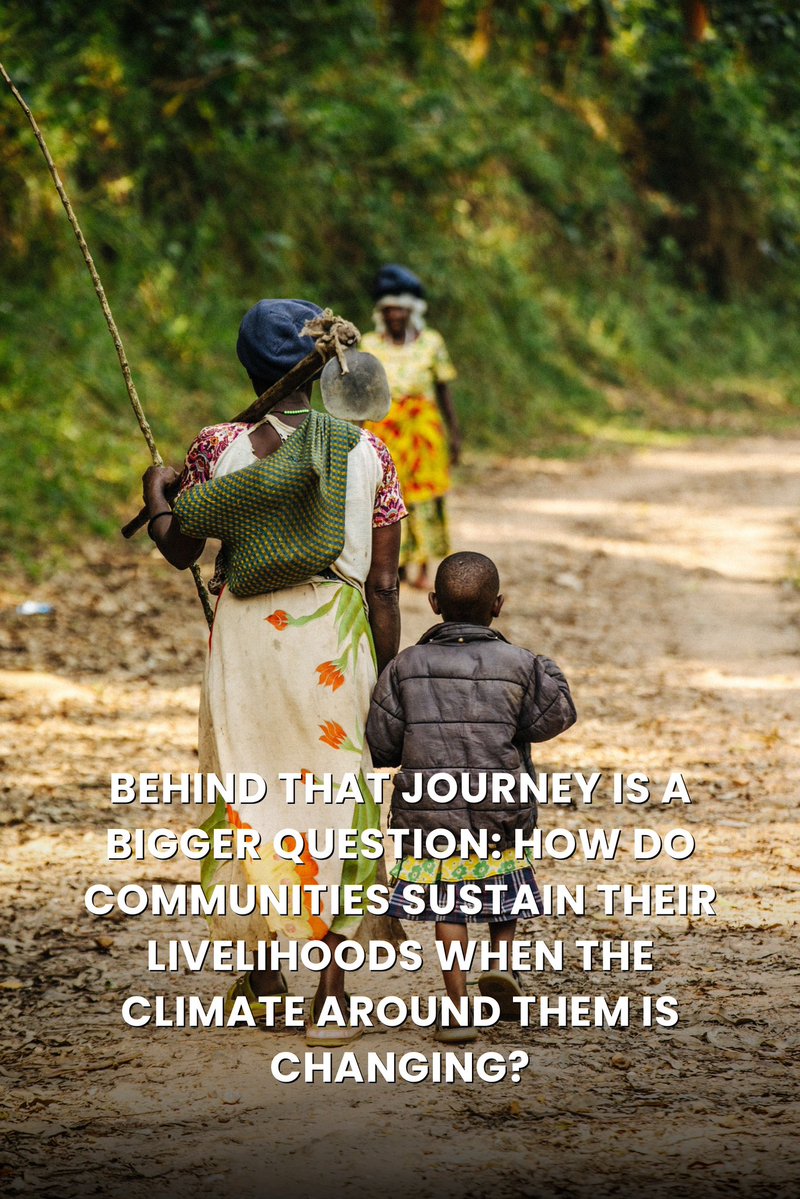 CLIMEDIA256's tweet photo. The climate crisis is reshaping daily life for Batwa communities.

From declining harvests to shrinking grazing areas and distant water sources, families are having to adapt to conditions that are increasingly difficult to predict.

For them, climate change is lived, not just discussed.
