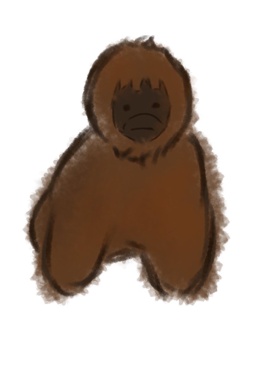mimigatorechau's tweet photo. オラウータン描いた https://t.co/aR4D3jBrc5