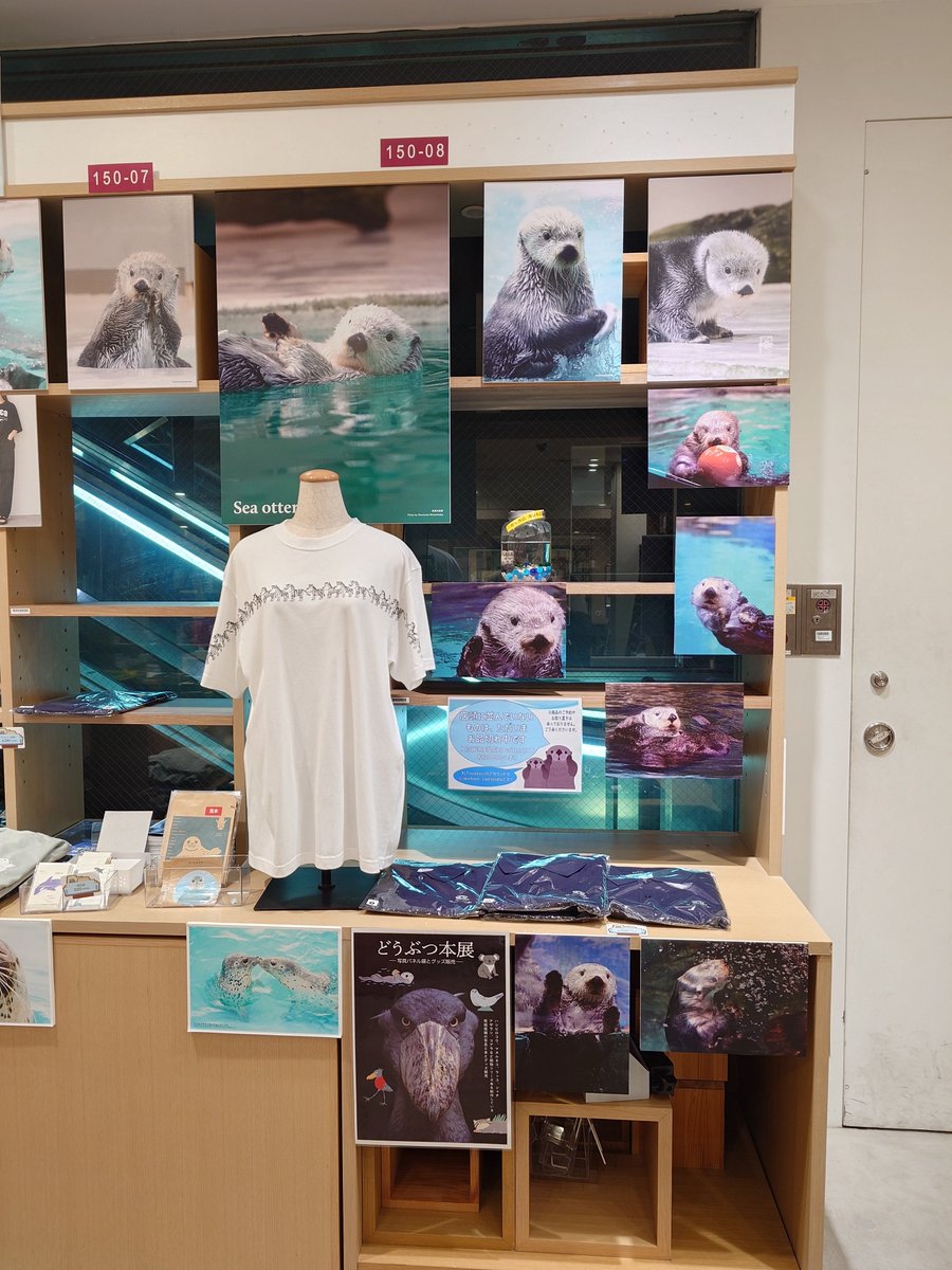 ikehon_sanseido's tweet photo. #書籍館1階 にて展開中の『動物園フェア』ですが、ラッコグッズがお品切れしております…🙇‍♀️
10月4日の閉店前にもう少しだけ再入荷できないか検討中です。再入荷の際は改めて当アカウントにてお知らせいたします。
グッズが届くまで、以前展示していたパネルを再掲中です！ https://t.co/0GbSM5UMQw